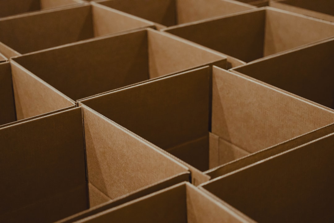 Packing Service for Moving in Prague – Professional Help with Boxes