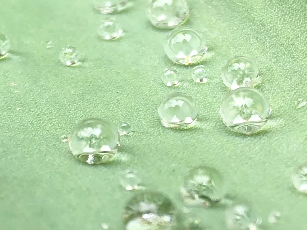 Nano Protection for Carpets & Upholstery Prague – BeeClean