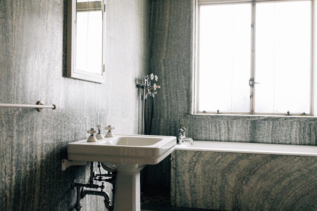 Mould Removal from Flats and Houses in Prague