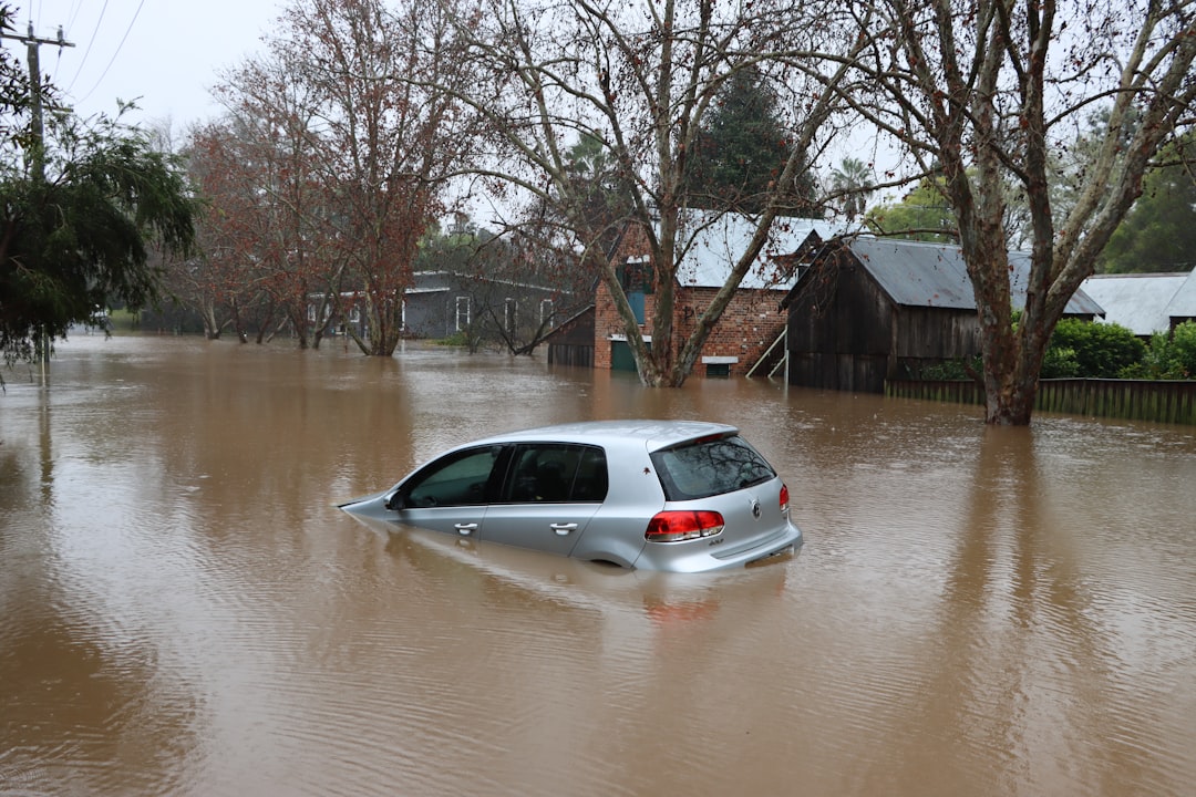 Post-Disaster Cleaning – Flood, Fire and Water Damage