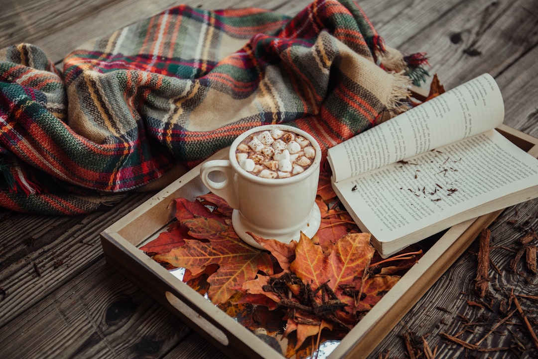 Autumn Seasonal Cleaning in Prague – Home and Apartment