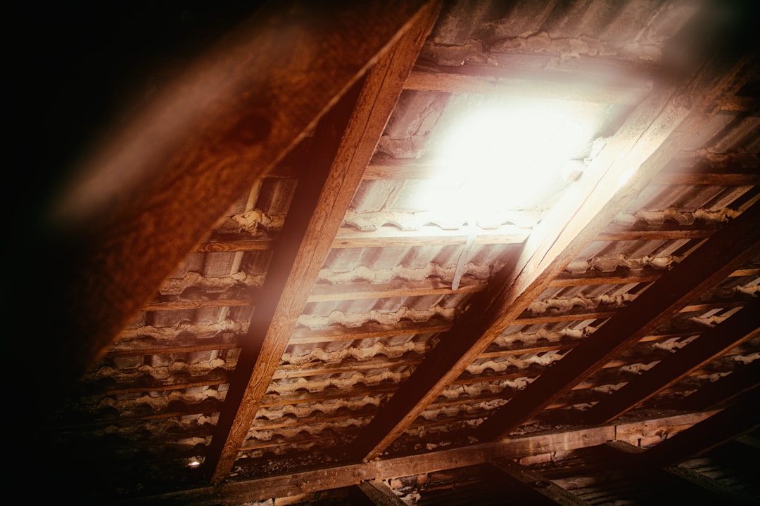 Skylight Window Cleaning Prague – Velux, Fakro and Custom Rooflights