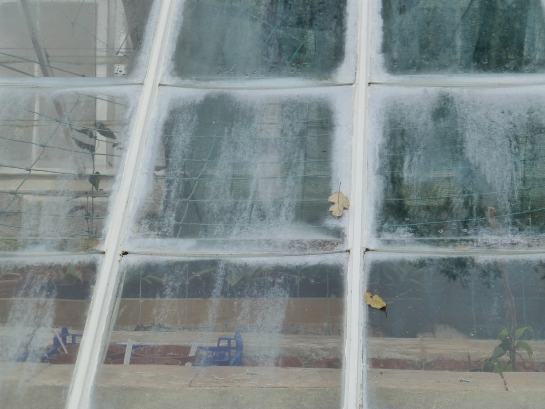 Conservatory Cleaning Prague – Glass, Frames and Roof