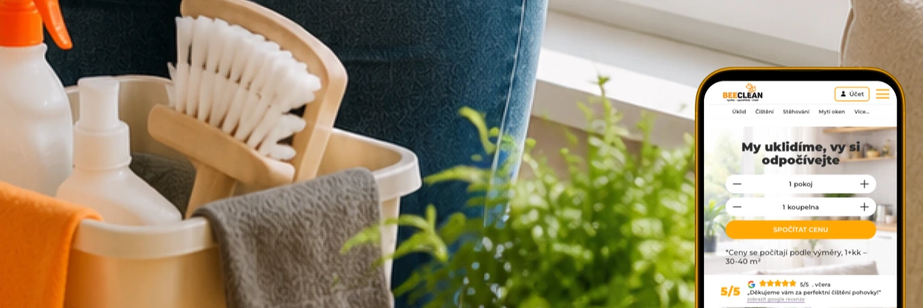 Professional Upholstery Cleaning: What You Need to Know Before Booking