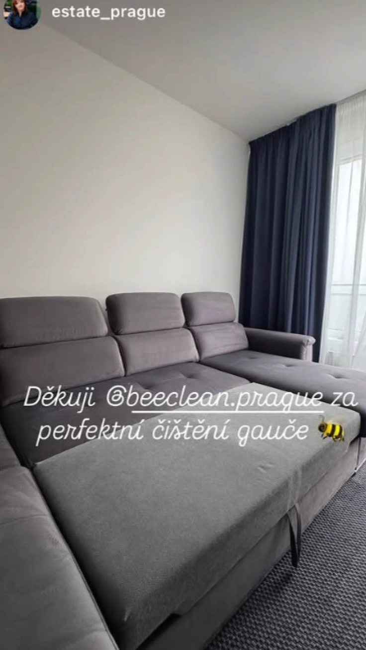 BeeClean client result